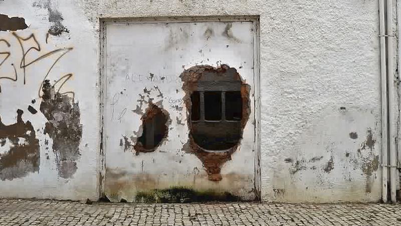 Arde la democracia II