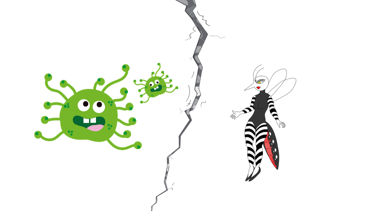 ¡No hay grieta entre los virus!