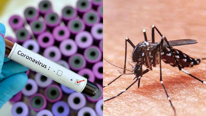 Conviviendo con la pandemia y la epidemia